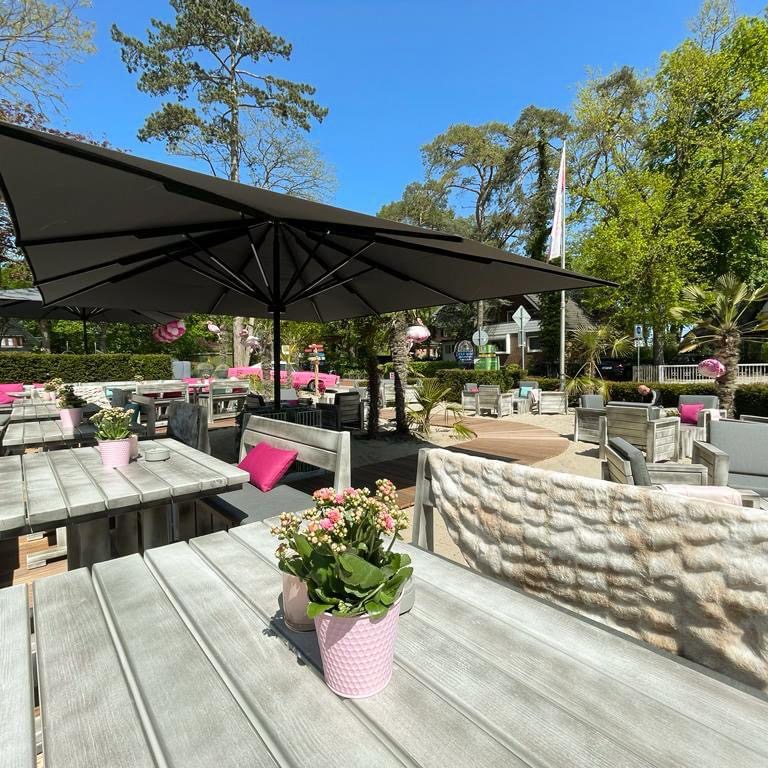 THE FLAMINGO – Wir haben SOMMER! THE FLAMINGO – Wir haben SOMMER!