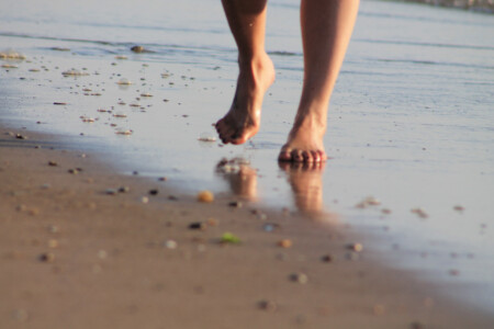 THE SHORE